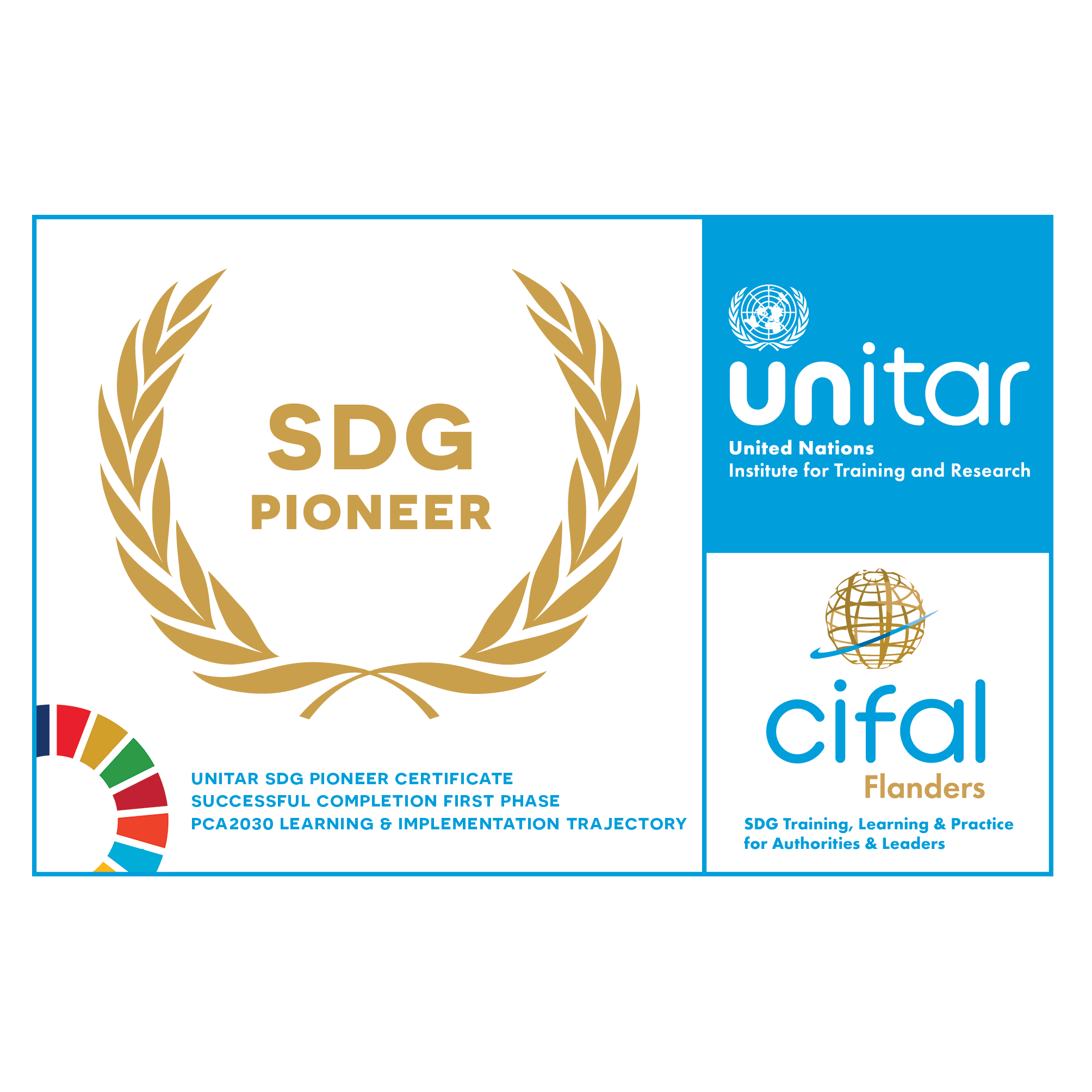 CIFAL Flanders SDG Pioneer