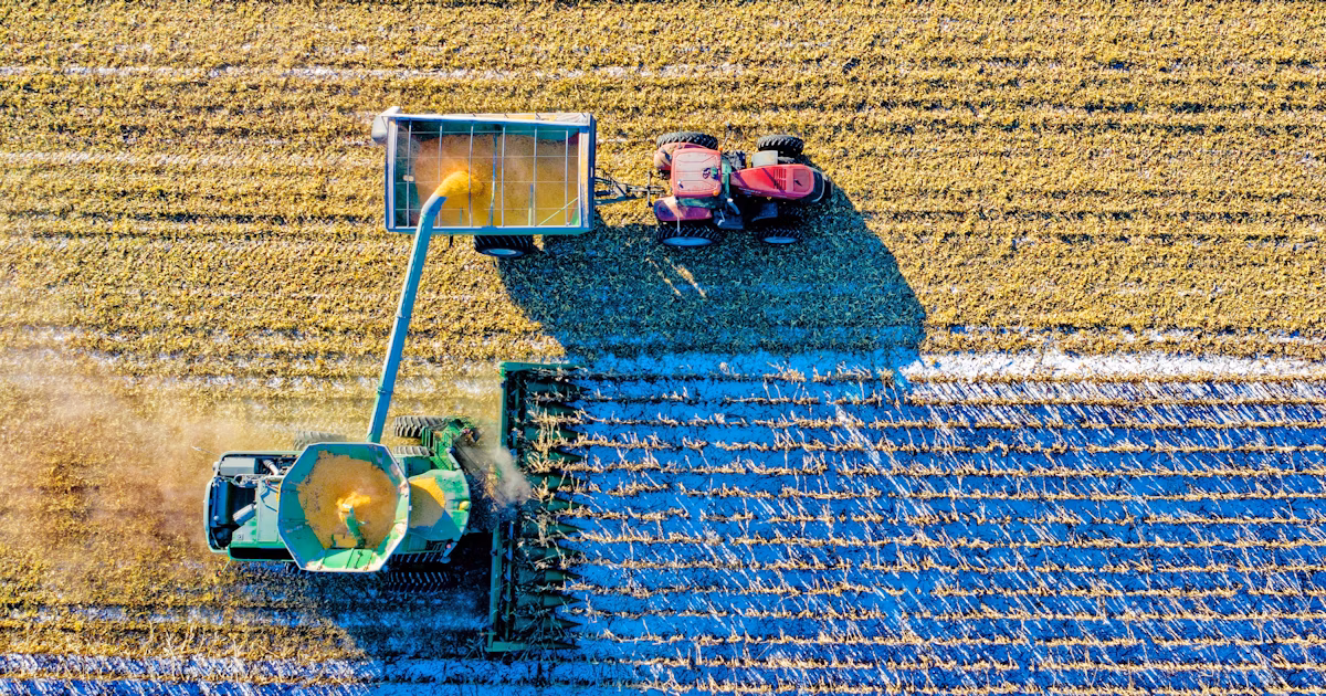 amfori data dashboard - ACA Group