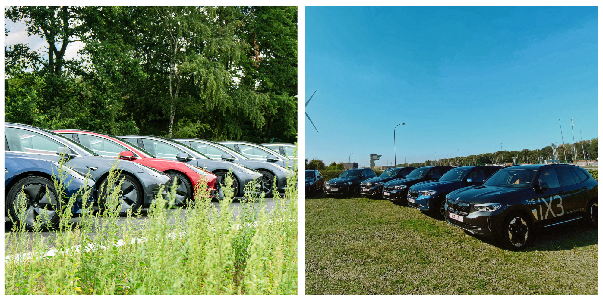 bmws